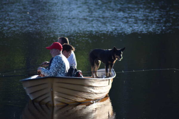 Boat fishing in Våraskruv