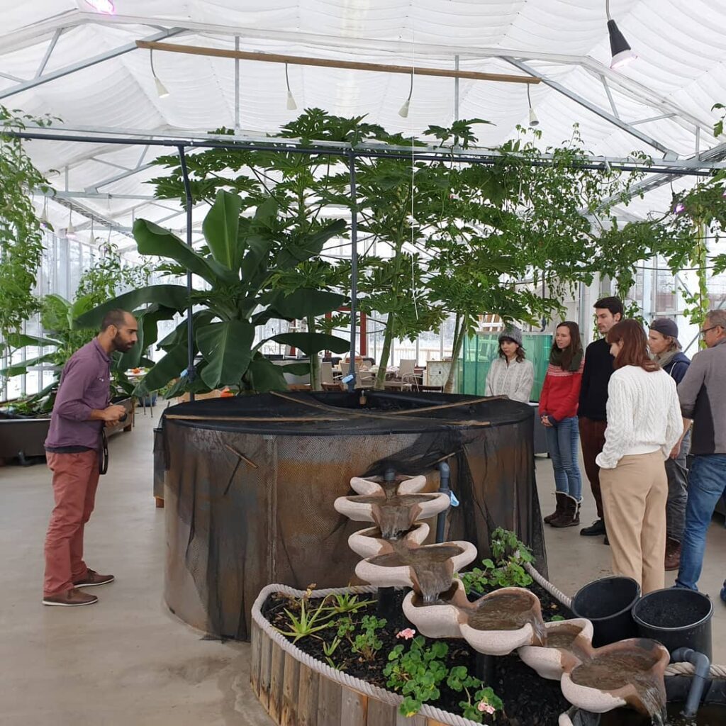 aquaponics lessons courses sweden sustainable food production